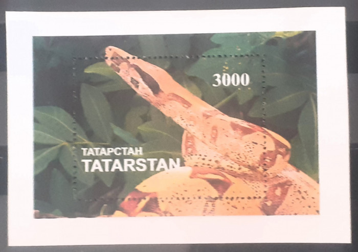 Tatarstan Fauna Serpi Reptile Serie Bloc Colita Mnh Nestampilat