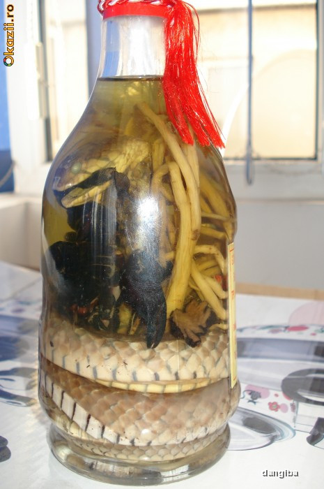 Sticla cu cobra si scorpion consevat in formol- nu se consuma | arhiva  Okazii.ro
