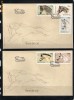 ROMANIA-2010 CAI - FDC - LP 1866