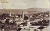 N1035 Zalau vedere panoramica circulata