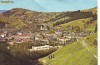 S12163 CAMPENI CIRCULAT 1971