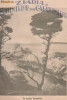 Ziarul Stiintelor si al Calatoriilor : pe coasta Carmelului 1929