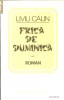 Frica de duminica, 1982