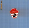 INSIGNA DINAMO BUCURESTI