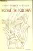 Flori de bruma, 1983