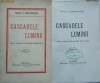 Vintila Paraschivescu, Cascadele luminii,1938, premiata de Academia Romana, Alta editura
