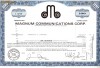 240 Actiuni MAGNUM COMMUNICATIONS CORP.-seria J 3719