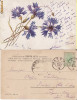 CP ilustrator - circulata Targu Ocna (Bacau)-Iasi - clasica- flori