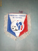 229 Fanion - FEDERATIA FRANCEZA DE FOTBAL