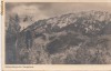 B14834 Muntii Carpati circulata 1951