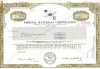 510 Actiuni -Phoenix Materials Corporation -seria S 1379