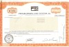 719 Actiuni -Programming and Systems, Inc. -seria NU 24506