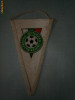 270 Fanion Federatia Bulgara de Fotbal