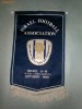 325 Fanion Israel Footbal Association