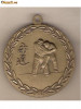 CIA 07 Medalie JUDO -dimensiuni aproximativ 50X55 milimetri