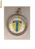CIA 99 Medalie MANIFESTAZIONE DI NUOTO -CIS ROMA -dimensiuni circa 32X37 milimetri