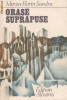 MIRCEA FLORIN SANDRU - ORASE SUPRAPUSE, 1986, Alta editura