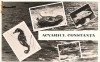 Carte postala-Acvariul Constanta