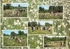 CP199-44 Judetul Brasov -Poiana Narciselor -carte postala, circulata 1978 ? -starea care se vede