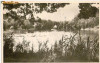 CP205-02 Sovata -Lacul Ursu -RPR -carte postala, circulata 1954 -starea care se vede