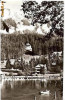 CP206-27 Lacul Rosu -carte postala circulata 1969 -starea care se vede