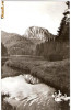 CP206-18 Lacul Rosu -Vedere spre Suhard -carte postala, circulata 1967 -starea care se vede