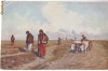 1561 - ETHNIC, Port popular - old postcard - unused, Necirculata, Printata