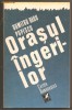 (C456) ORASUL INGERILOR DE DUMITRU RADU POPESCU