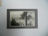 FOTOGRAFIE INTERBELICA-ST.MORITZ SEE,(GERMANIA)