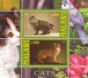 COLITA TIMBRE PISICI 2010 nedantelata mnh, Nestampilat