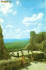 CP 213-82 Targu Neamt. Ruinele cetatii Neamtului (sec. XIV-XV) -necirculata -starea care se vede