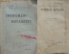 Colonelul Gh. Gorsky , Indrumari ostasesti , 1915 , prima editie, Alta editura