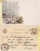 Baile Herculane - litografie -clasica, rara,1897, Circulata, Printata