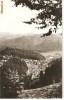 CPI (B590) BORSEC, EDITURA MERIDIANE, CPCS, CIRCULATA, 1963, STAMPILE, TIMBRU, Fotografie