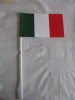 STEGULET &quot; ITALIA &quot;, Nationala