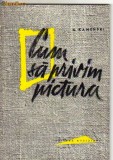 A Kamenski - Cum sa privim pictura