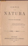 Jacob Negruzzi / COPII DE PE NATURA - editie 1874