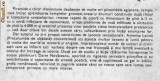 Darie Novaceanu - Precolumbia