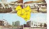 S 10575 TG.SECUIESC CIRCULATA