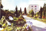 S-10444 CLUJ Gradina Botanica NECIRCULAT