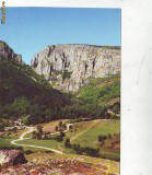 S-10258 CHEILE TURZII NECIRCULAT