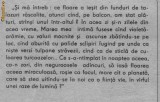 Profira Sadoveanu - Rechinul, 1987