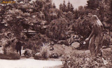 S-7550 CLUJ Gradina Botanica CIRCULAT 1965