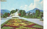 S-4994 BAIA MARE Monumentul ostasului roman CIRCULAT