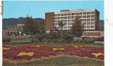 S-5020 BAIA MARE Hotel Gutinul CIRCULAT 1974