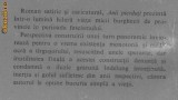 Vitaliano Brancati - Anii pierduti