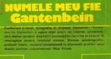 Max Frisch - Numele meu fie Gantenbein, 1981