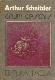 Arthur Schnitzler - Drum deschis