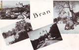 R8553 Bran Vedere multipla circulata