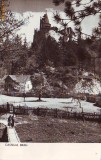R8575 Castelul Bran 1960 circulata
